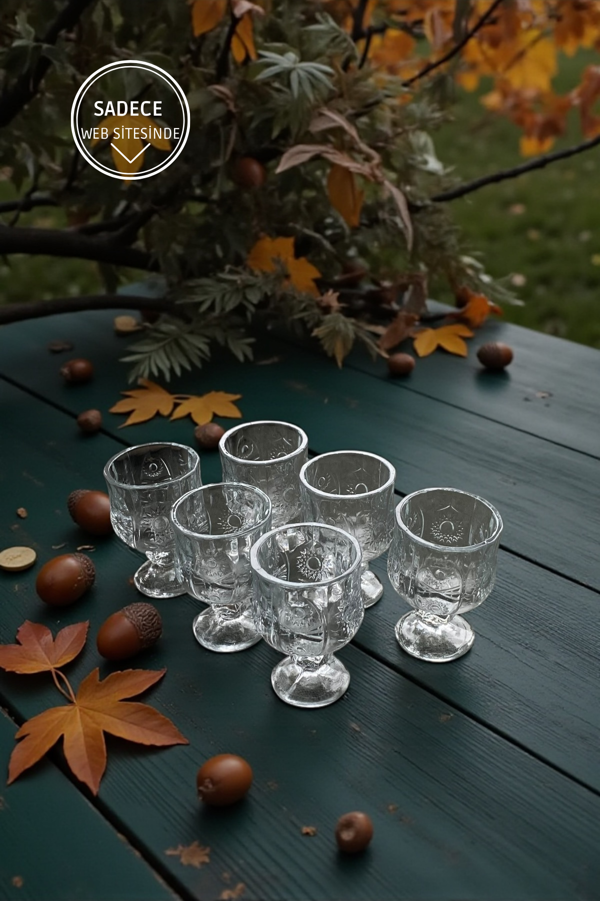 6'lı Ayaklı Kahve Yanı Cam Bardak-35ML