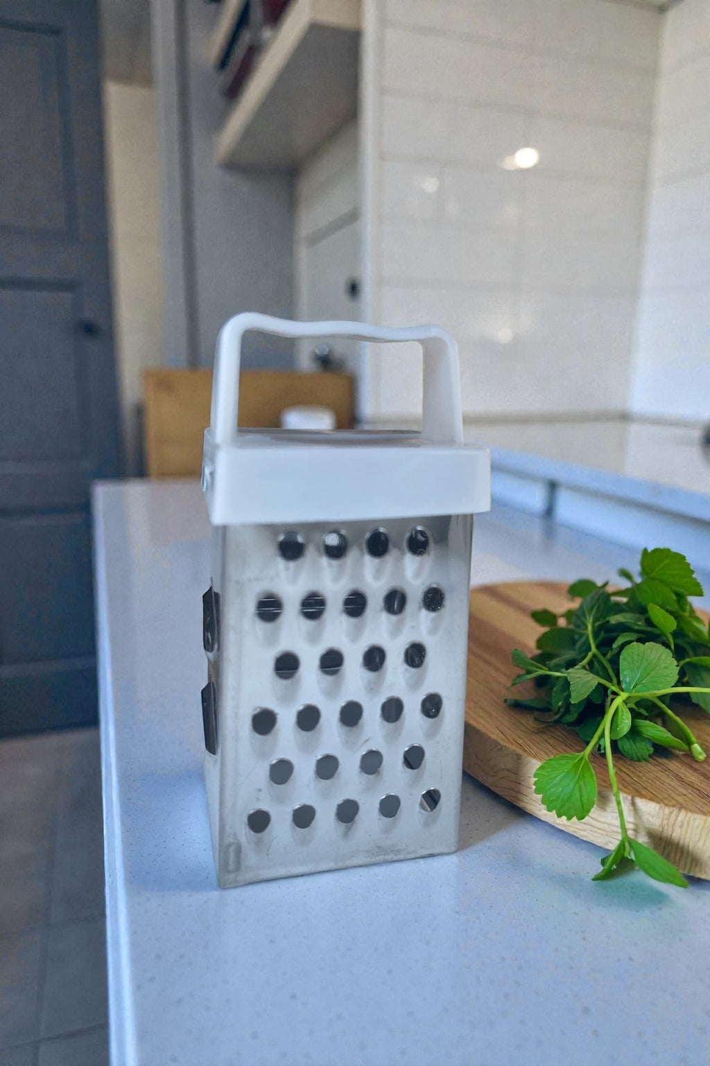 Magnetli 1 Adet Metal Mini Sarımsak Rendesi 7,3 CM- Asorti