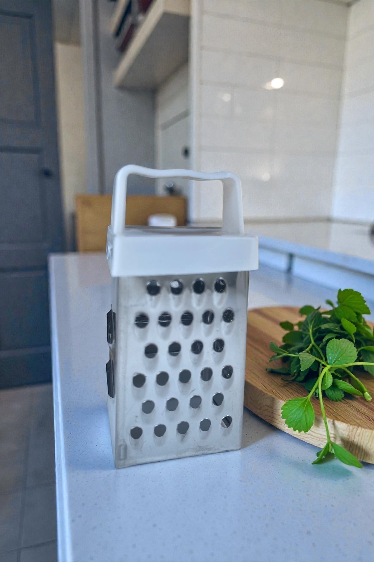 Magnetli 1 Adet Metal Mini Sarımsak Rendesi 7,3 CM- Asorti